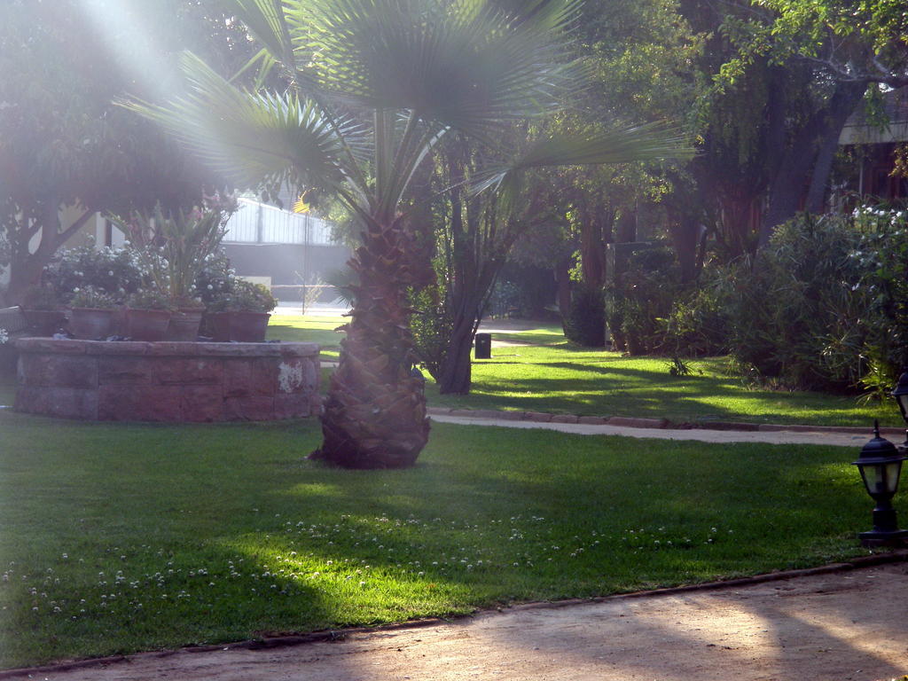 El Copihue Olmue Hotel Exterior foto